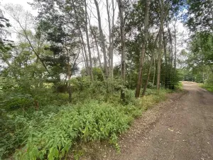 Prodej louky, Nové Hrady - Štiptoň, 6751 m2
