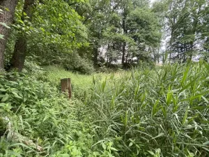 Prodej louky, Nové Hrady - Štiptoň, 4246 m2