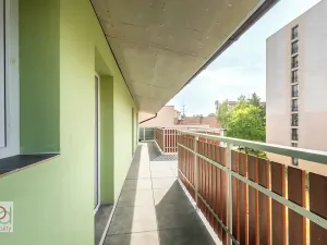 Pronájem bytu 1+kk, České Budějovice, Matice školské, 40 m2