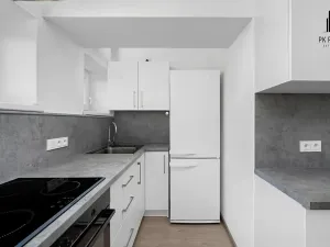 Prodej bytu 2+kk, Brno, Renneská třída, 47 m2