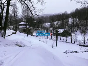 Pronájem bytu 4+1, Zlaté Hory, 170 m2