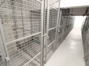 Pronájem bytu 2+kk, Praha - Žižkov, Jeseniova, 51 m2