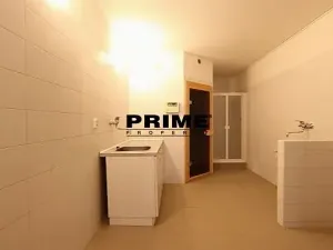 Pronájem rodinného domu, Praha - Nebušice, Druhého odboje, 390 m2