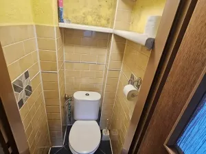 Prodej bytu 3+1, Blížejov, 70 m2