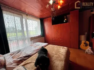 Prodej rodinného domu, Dlouhá Třebová, Sluneční, 210 m2