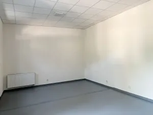 Pronájem obchodního prostoru, Brno, Štefánikova, 110 m2