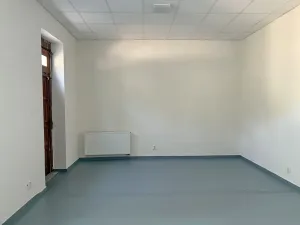 Pronájem obchodního prostoru, Brno, Štefánikova, 110 m2