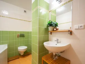 Pronájem bytu 1+kk, Brno, Božetěchova, 32 m2