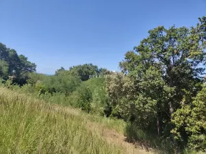 Prodej vily, Scalea, Itálie, 90 m2