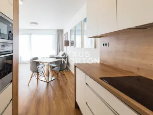 Pronájem bytu 2+kk, Praha - Karlín, Nekvasilova, 60 m2