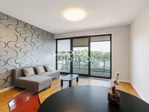 Pronájem bytu 2+kk, Praha - Holešovice, V přístavu, 71 m2