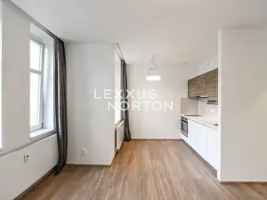 Pronájem bytu 1+kk, Praha - Vinohrady, Lucemburská, 30 m2