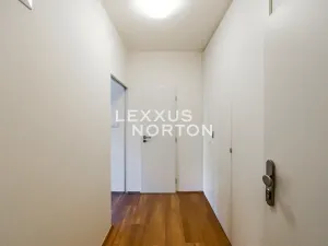 Pronájem bytu 1+kk, Praha - Vinohrady, Lucemburská, 30 m2