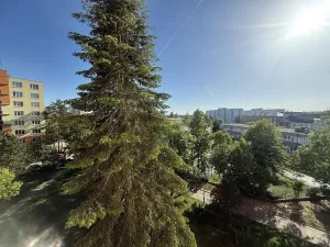 Pronájem bytu 1+1, Plzeň, Dvořákova, 36 m2