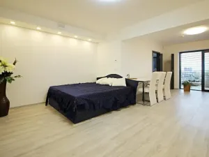 Pronájem bytu 1+kk, Brno, Zákoutí, 58 m2