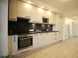 Pronájem bytu 1+kk, Brno, Zákoutí, 58 m2