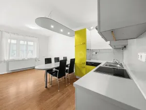 Prodej rodinného domu, Plzeň, Revoluční, 210 m2
