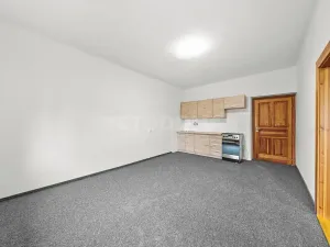 Prodej rodinného domu, Plzeň, Revoluční, 210 m2