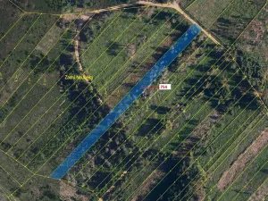 Dražba lesa, Knínice, 2930 m2