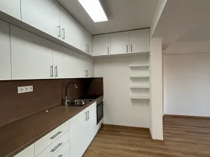 Pronájem bytu 3+1, Přáslavice, 150 m2