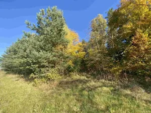 Dražba pozemku, Železný Brod, 2828 m2