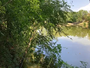 Prodej rodinného domu, Nupaky, K Parku, 130 m2