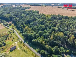 Prodej lesa, Tupadly, 5004 m2