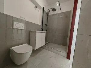 Prodej ubytování, Brno, Cejl, 60 m2