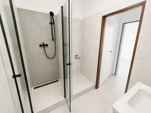 Prodej ubytování, Brno, Cejl, 60 m2