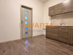 Prodej činžovního domu, Děčín, Kamenická, 261 m2