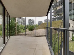 Pronájem bytu 2+kk, Praha - Žižkov, Pitterova, 58 m2