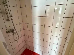 Prodej rodinného domu, Olšany u Prostějova, 230 m2