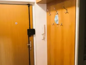 Prodej bytu 1+kk, Praha - Vysočany, Novovysočanská, 34 m2