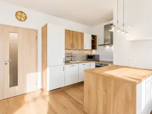 Prodej bytu 3+kk, Praha - Žižkov, Olšanská, 111 m2
