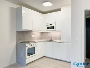 Pronájem bytu 2+kk, Praha - Smíchov, Holečkova, 47 m2