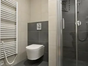 Pronájem bytu 1+kk, Olomouc, Frištenského, 32 m2