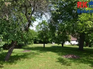 Prodej chalupy, Cholenice, 120 m2