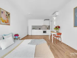 Prodej bytu 1+kk, Hořovice, U Knížecí cesty, 32 m2