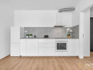 Prodej bytu 1+kk, Hořovice, U Knížecí cesty, 32 m2
