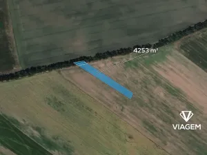 Prodej podílu pole, Prušánky, 1417 m2