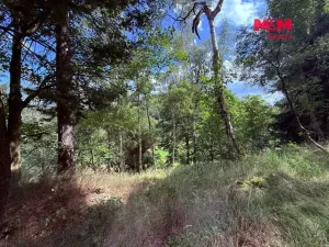 Prodej chaty, Hora Svaté Kateřiny, 32 m2
