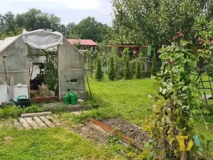 Prodej zahrady, Karviná, Olšiny, 402 m2