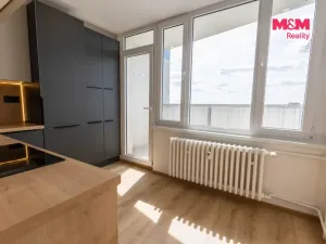 Prodej bytu 2+1, Plzeň - Doudlevce, 58 m2