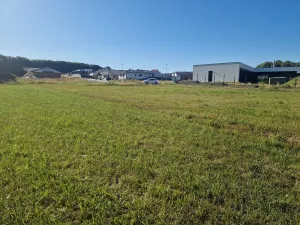 Prodej pozemku, Velká Polom, Okružní, 6038 m2