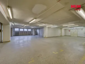 Pronájem obchodního prostoru, Plzeň - Východní Předměstí, Americká, 1603 m2