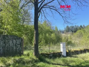 Prodej pozemku pro bydlení, Blatná - Čekanice, 3556 m2