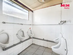 Prodej ubytování, Mšeno, 757 m2