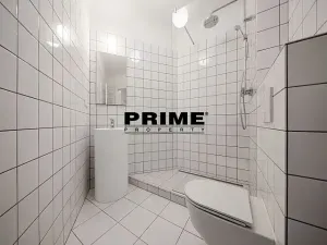 Pronájem kanceláře, Praha - Vinohrady, Italská, 255 m2