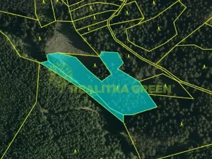 Prodej lesa, Hovězí, 9912 m2