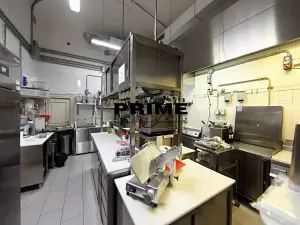 Pronájem obchodního prostoru, Praha - Vinohrady, Italská, 225 m2